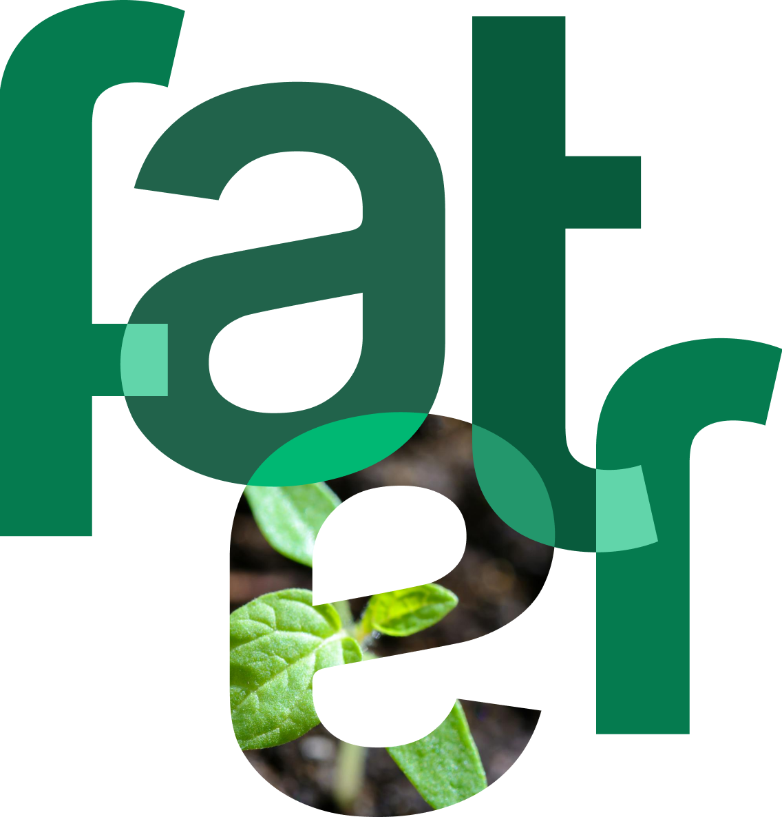 Every Day Sustainability