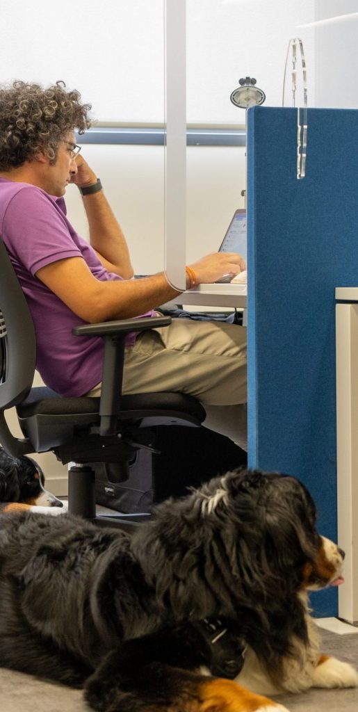 cane in ufficio con il padrone che lavora