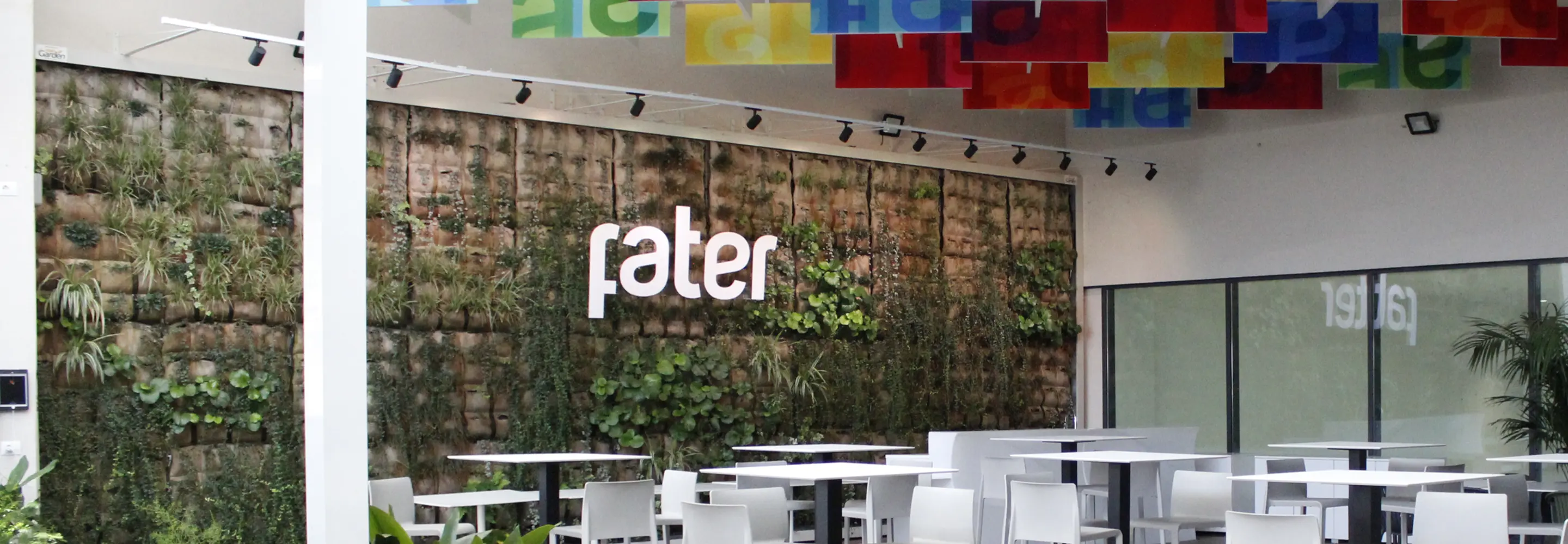 Fater è